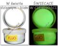 CP_18g_fluo_m.jpg